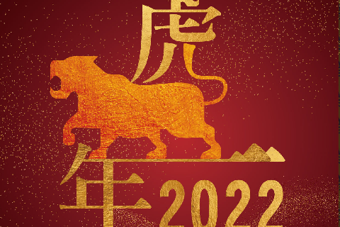 2022 虎年行大運